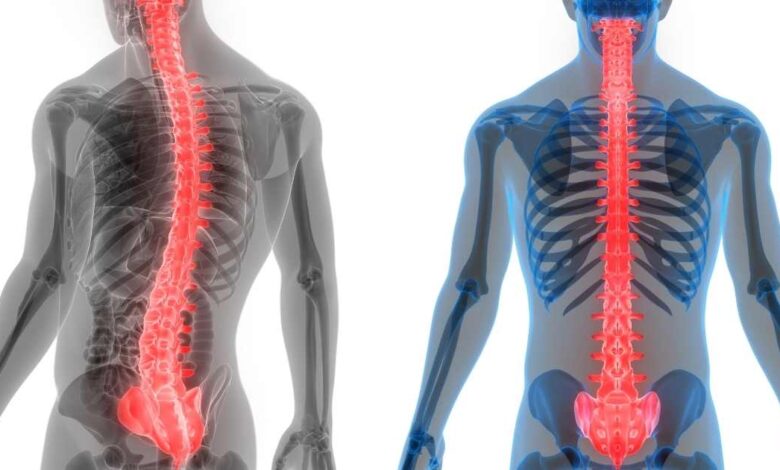 allineare-la-colonna-vertebrale-780x470.jpg
